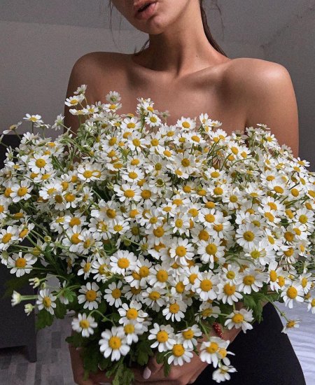 Букет ромашек