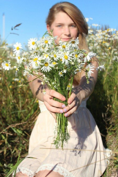 Ромашки в руках у девушки