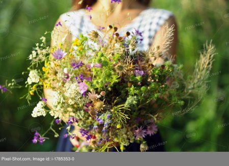 Девушка с полевыми цветами