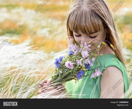 Букет цветов для девушки