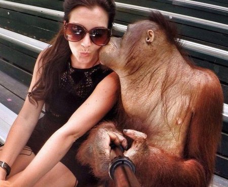 Девушка и обезьяна