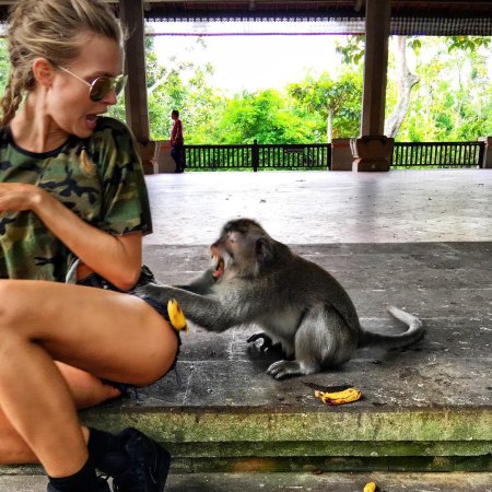 Девушка и обезьяна