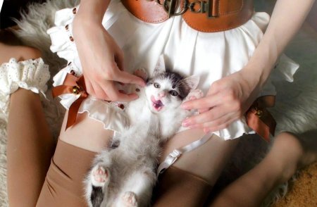 Девушка кошка