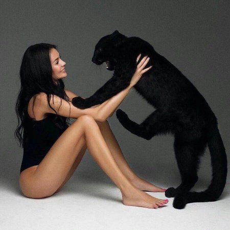 Фотосессия с пантерой