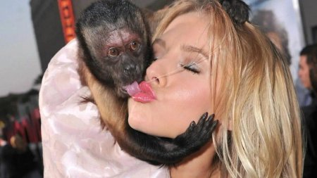 Девушка и обезьяна