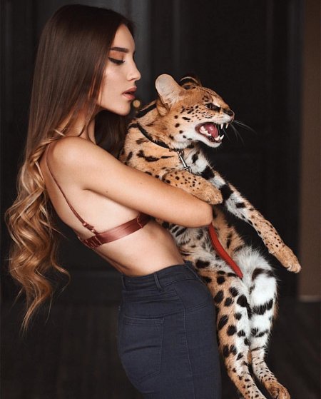 Сервал гуччи