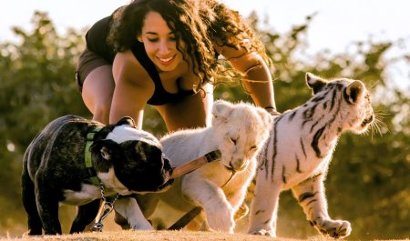 Животные и женщины