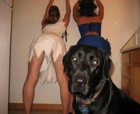 Приколы девушки и животные