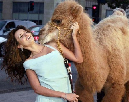 Жена животное