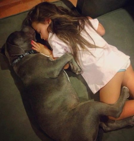 Девушка спит с собакой