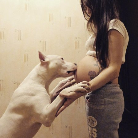 Девушка с собакой