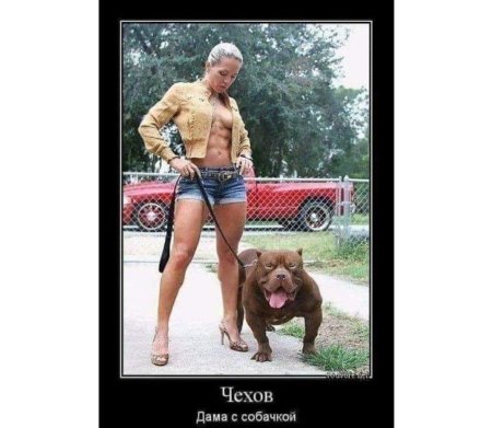 Дама с собачкой прикол
