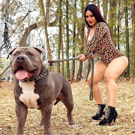 Крупные женщины и собаки