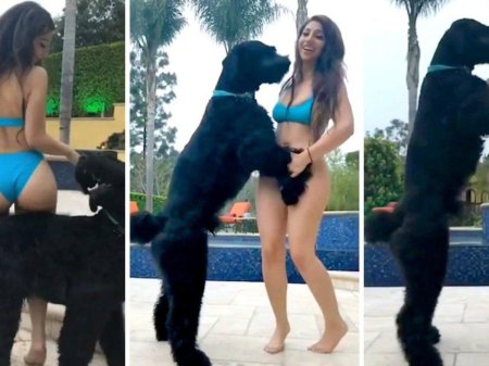 Тони Тутуни