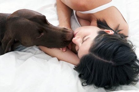 Близость с животными