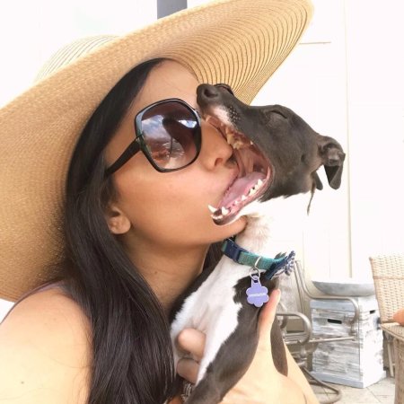 Пенелопа животное