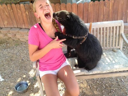 Приколы девушки и животные