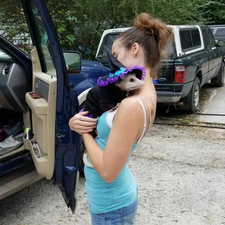 Фото приколы