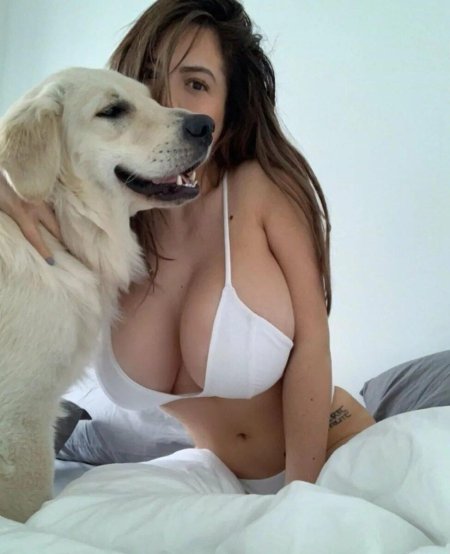 Айала Даниелли