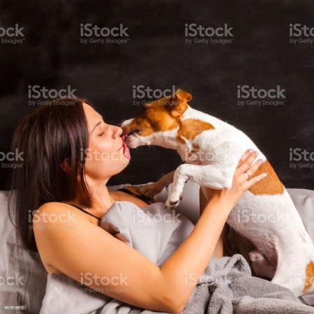 Девушка в постели с собакой