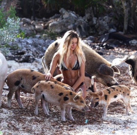 Путешественница Сара Кохан