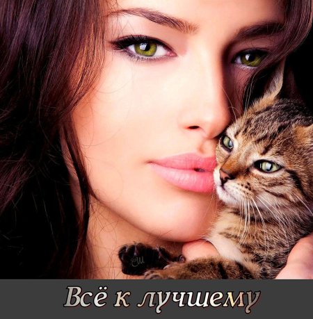 Кошка девушка