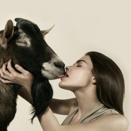 Любовь зла полюбишь и козла