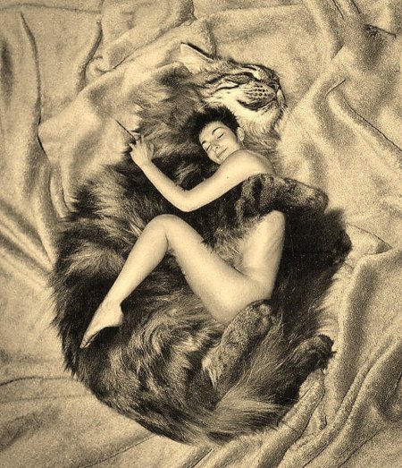 Девушка с котом