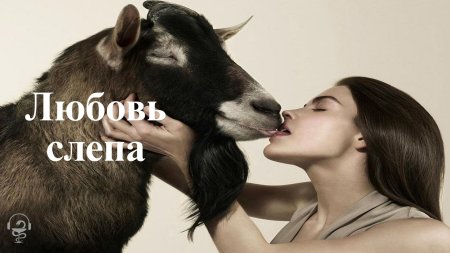 Любовь зла полюбишь и козла