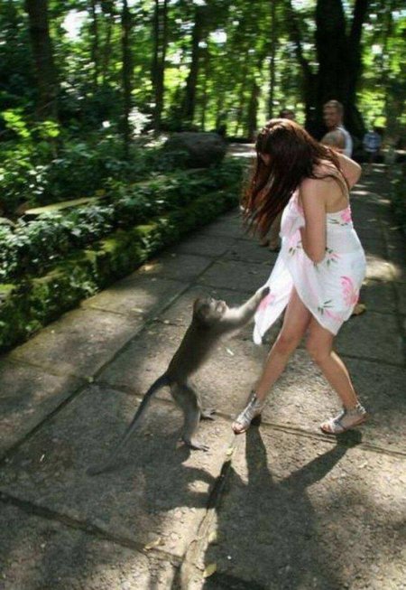 Девушки и животные