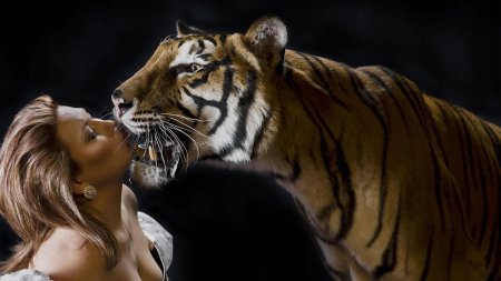 Поцелуй с тигром