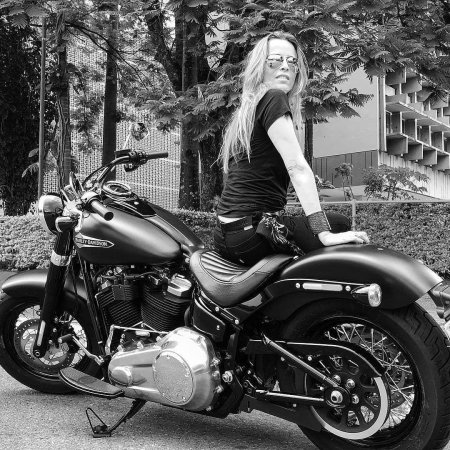 Harley davidson softail