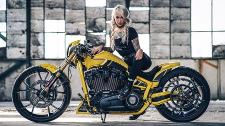 Мотоциклы Harley Davidson Thunderbike