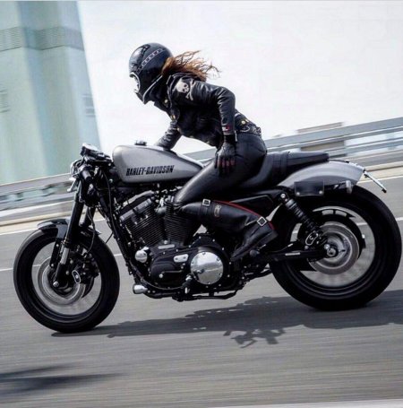Harley davidson sportster