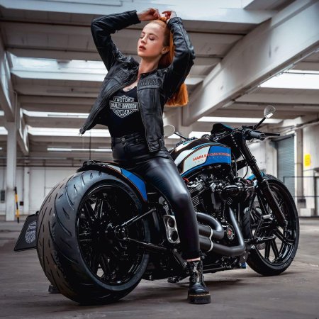 Харлей дэвидсон тандербайк