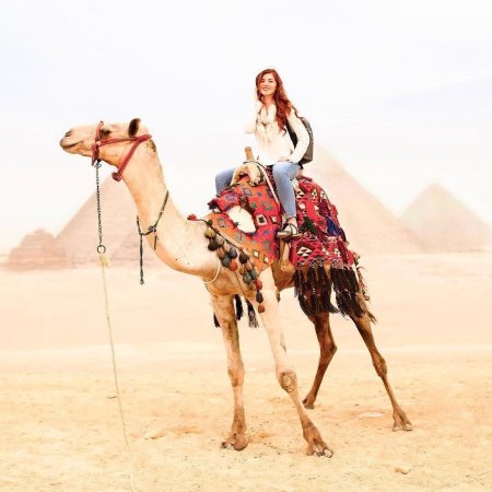 Женщина на верблюде