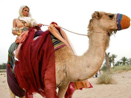 Верхом на верблюде