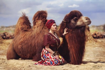 Девушка на верблюде