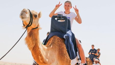 Наездник на верблюде