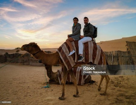 Сафари в пустыне дубай