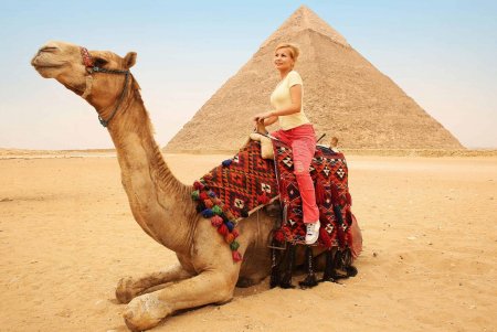 Верблюды в Египте