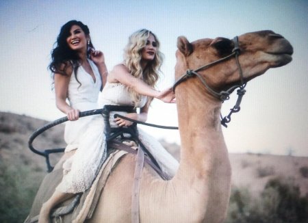 Девушка на верблюде