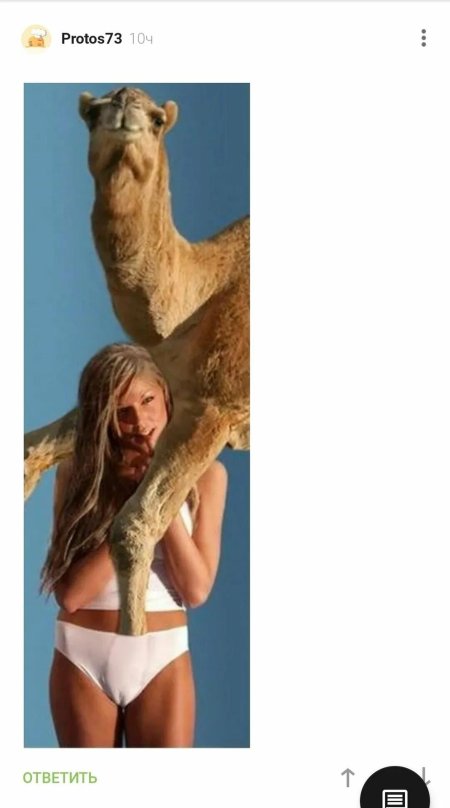 Кэмерон Диаз верблюжье копытце