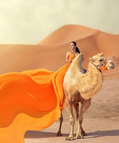 Верблюд в пустыне