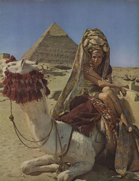 Клеопатра и верблюд