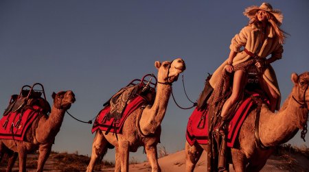 Саудовская Аравия Верблюды