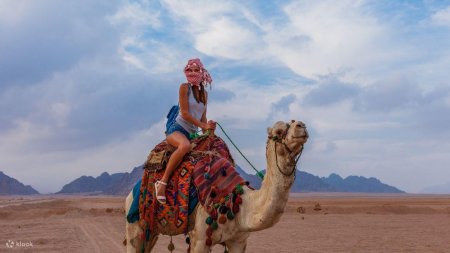 Шейх в пустыне