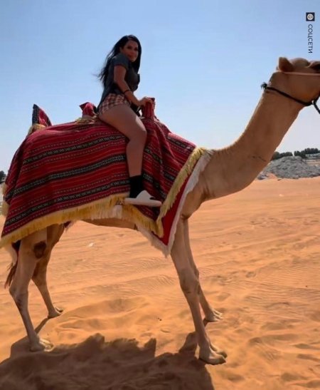 Сафари в дубае