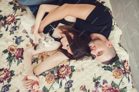 Парень девушка и кот