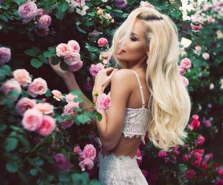 Свит блонди (Sweet blondie)